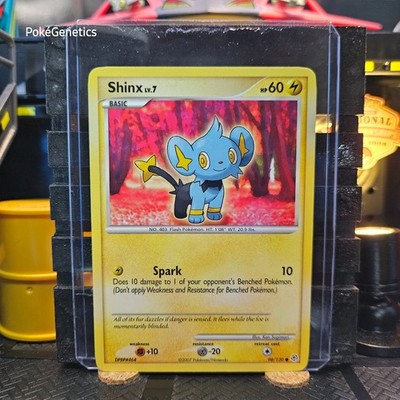 Shinx Diamond & Pearl Pokémon TCG 98/130 Common