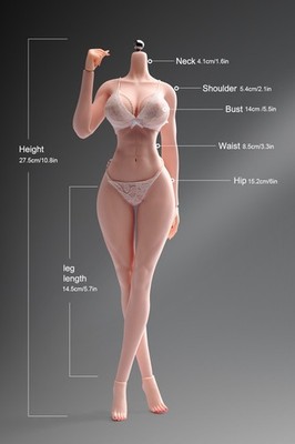 ZZ YM507P Yi Na 1/6 Big Bust Normal Seamless Woman Anime Body Toy