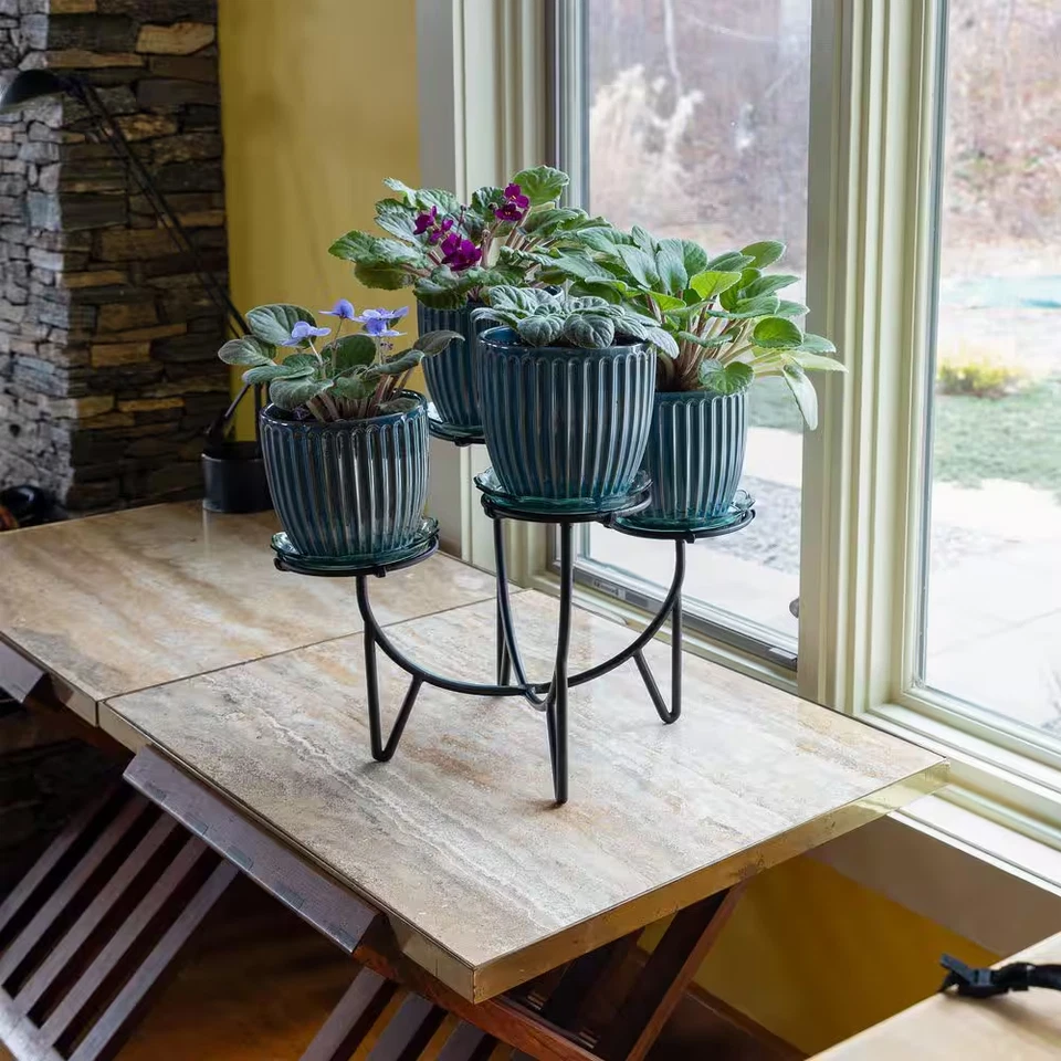 Soporte para plantas exteriores 12 '' H Frida IV, hierro forjado, kits de interior/exterior y acceso Foto 3 de 4