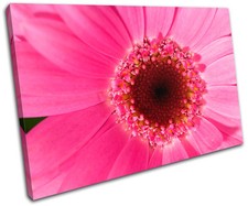 Flower Floral SINGLE CANVAS WALL ART Picture Print VA