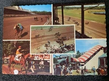 saratoga track springs horse racing new york vintage postcard
