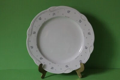 Seltmann Weiden Desiree Elisa 44911 Speiseteller Teller 26 cm - Bild 1 von 2