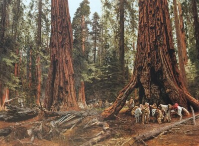 Paul CALLE '' Land Of The Giant '' Numbered Limited Edition Canvas Art Red Wood GW