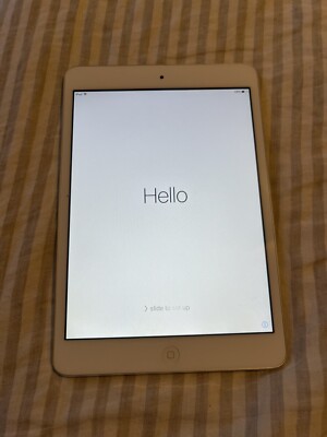 Apple iPad mini- Repair Locked, White & Silver