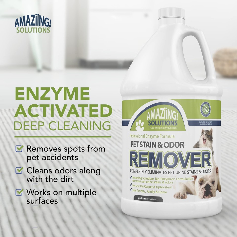 Pet Stain and Odor Remover Enzyme Cleaner, Pet Urine Odor Eliminator