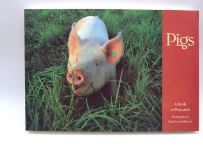 Pigs A Book of Postcards David Lorenz Winston Pomegranate 1993 Postcard Book