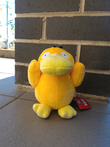 31 inch psyduck