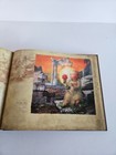 Foto 19 di 19