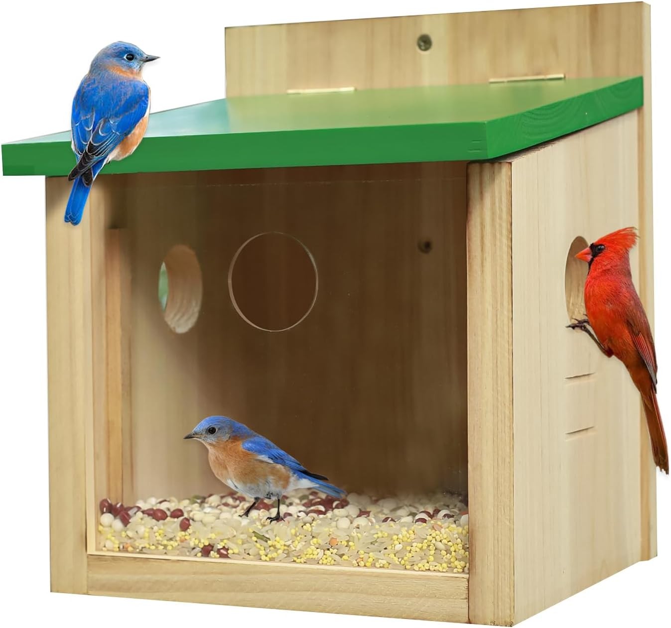 Outdoor Mealworms Feeder For Bluebird ...