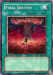 Final Destiny - MRL-035 - Common - Unlimited Edition x3 - Lightly Played