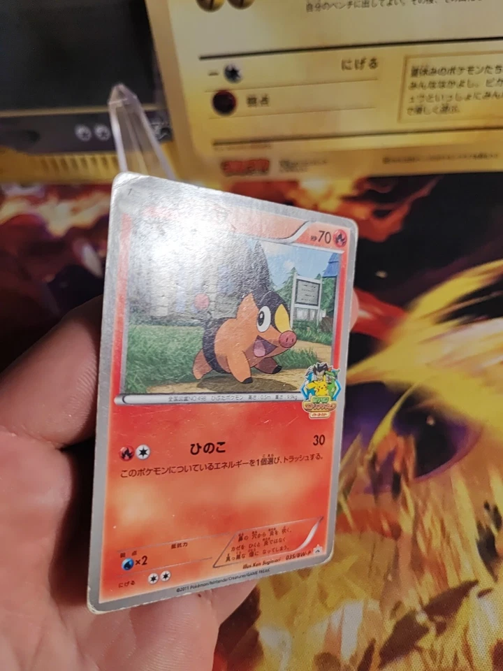 Pokemon Karte Card Tepig Floink Bw Promo Ito Yokado Rally Quiz japanese VG - Bild 3 von 4