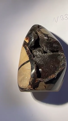 Septarien Ei / Geode  ca 330g (auch bekannt als Drachenei) - Video 1 von 1