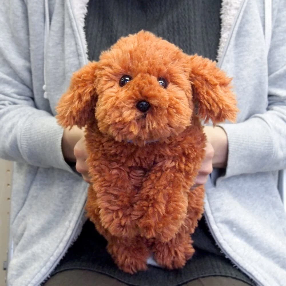 Sun Lemon Knee Dog Toy Poodle Plush Doll S Size 37 cm Brown Color