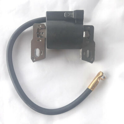 Zündspule für Briggs&Stratton Intek /Pro 121602 121612 121607 121682  5.5/6.5HP