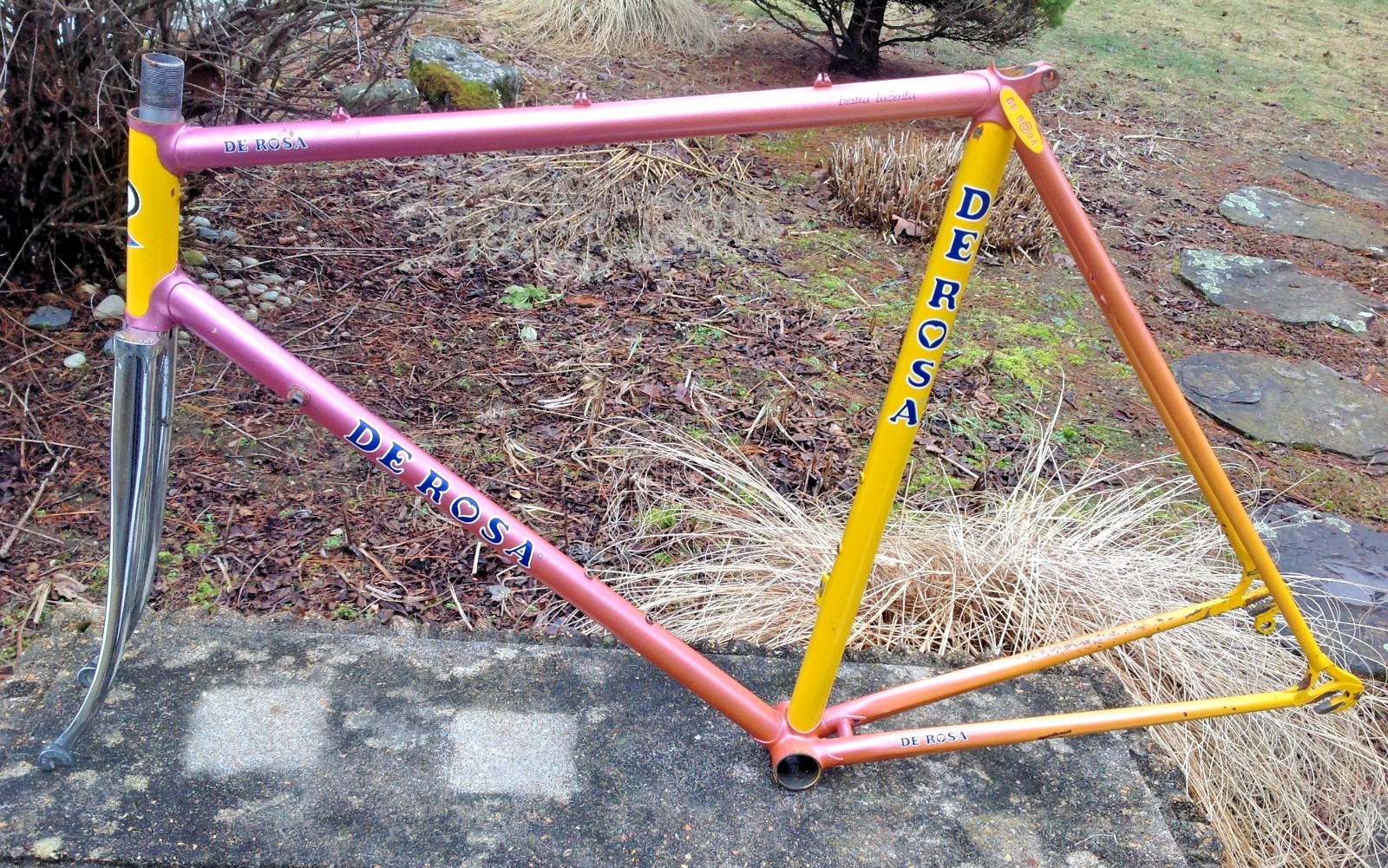 Vintage De Rosa Professional Frame Diamante Stays Super Prestige Eddy Merckx