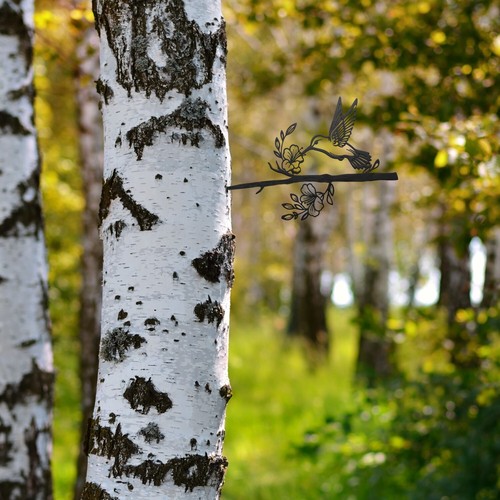 Tree Spike Silhouette - Hummingbird - Picture 3 of 7