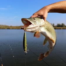  30 pcs anti-morsure acier ligne de pêche ligne de pêche canne à pêche ligne de