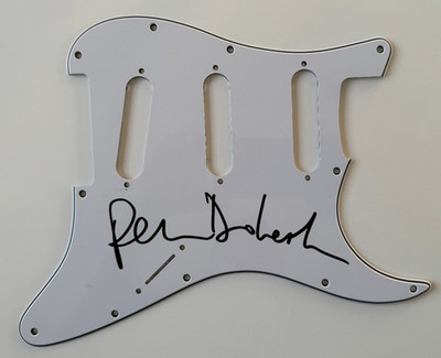 Signierte PETE DOHERTY Kratzplatte Plektrumschutz Gitarre -PROOF/COA- Libertines