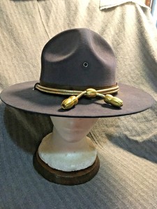blue campaign hat