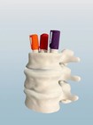 Spine Pen Holder – Gothic Vertebrae Desk Organizer, Perfect for Halloween Decor