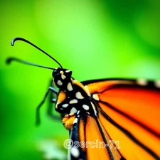 Digital Image Picture Photo Wallpaper Background Desktop AI Art Sample Product