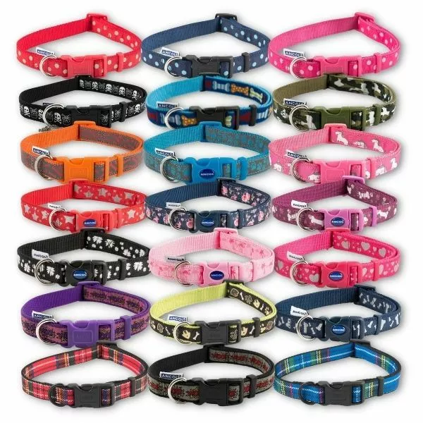 Ancol dog collar online