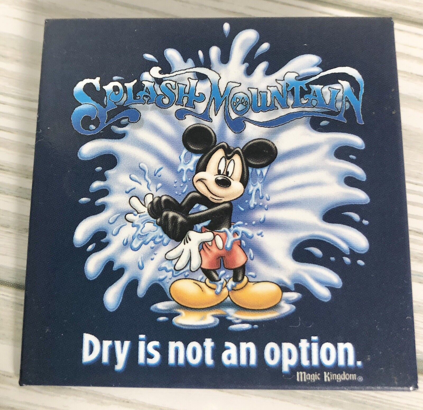 Disney World Splash Mountain PIN Mickey Mouse 