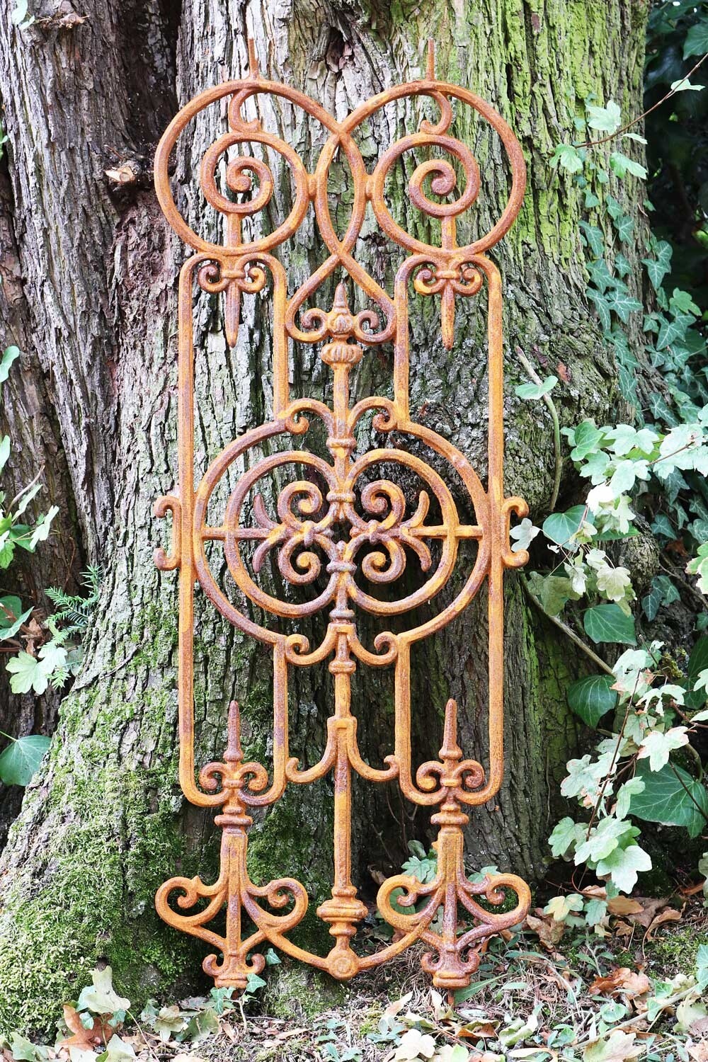 Foto 2 di 10