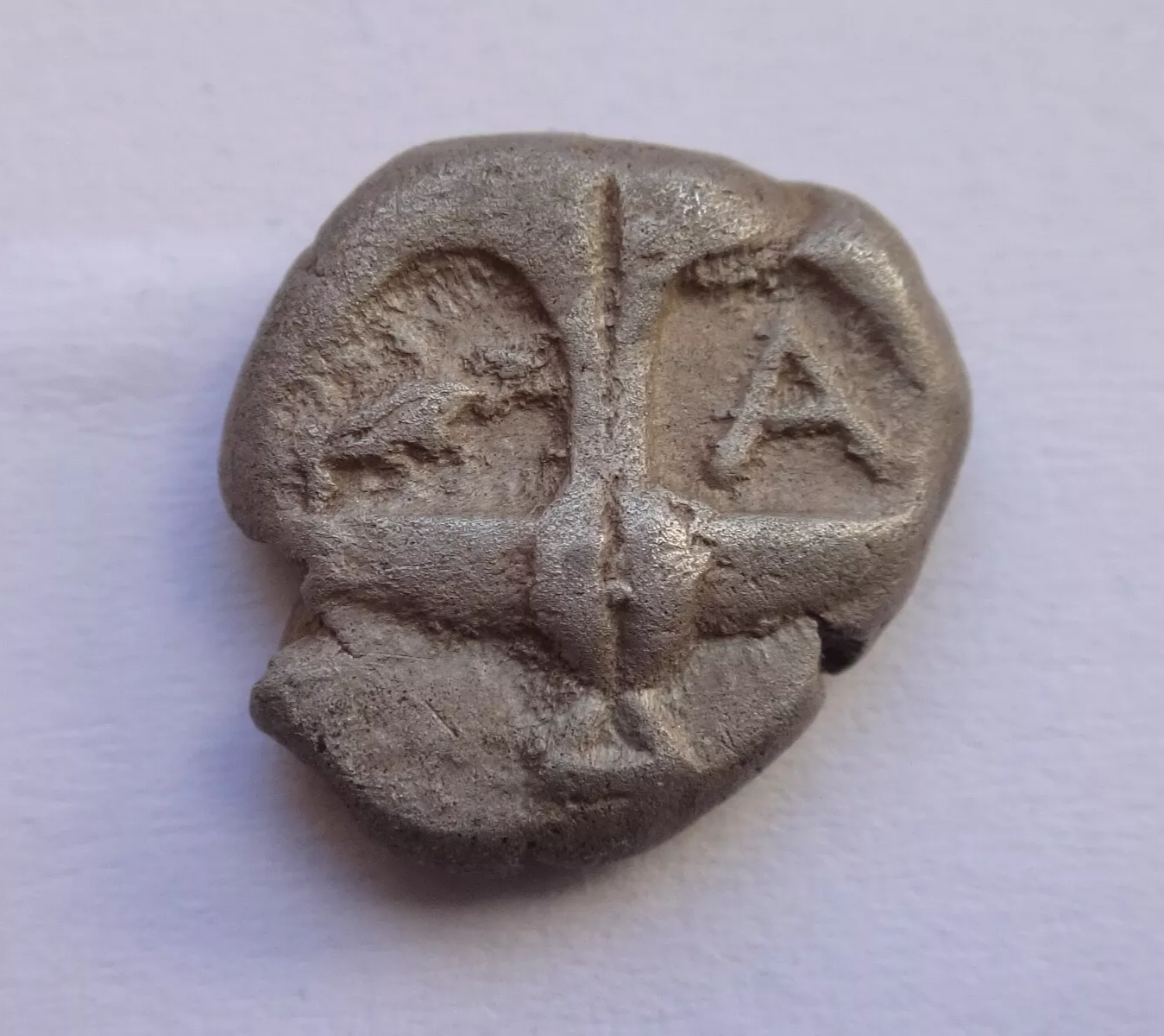 Foto 5 di 5