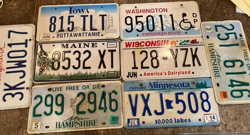 LOT of 8 US mixed License Plates Maine Hamshire Wisconsin Iowa Cali Minnesota
