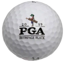 2019 PGA CHAMPIONSHIP (Bethpage Black) Logo - Titleist DT TruSoft - GOLF BALL