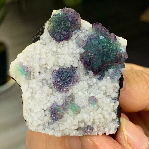 70G Natural rare purple green fluorite mineral in Inner Mongolia - Picture 11 of 18