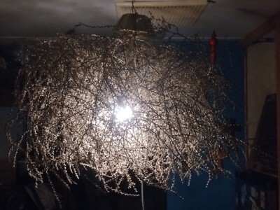 tumbleweed lamp each one is one of its kind. Ranging from night light to chandel