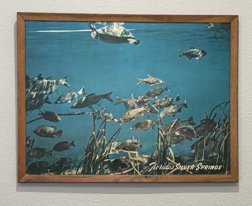 Silver Springs Florida Bruce Mozert Photograph Art Framed Poster Vintage