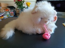 Rare Keel Toys Simply Soft Collection Tagged Persian Cat 11" Pink Yarn C1990s