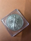 2013 US American Eagle Walking Liberty Uncirculated 1 Oz. Silver Dollar Coin