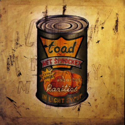 TOAD THE WET SPROCKET : IN LIGHT SYRUP (CD) DISC + CVR ART - NO CASE - GOOD