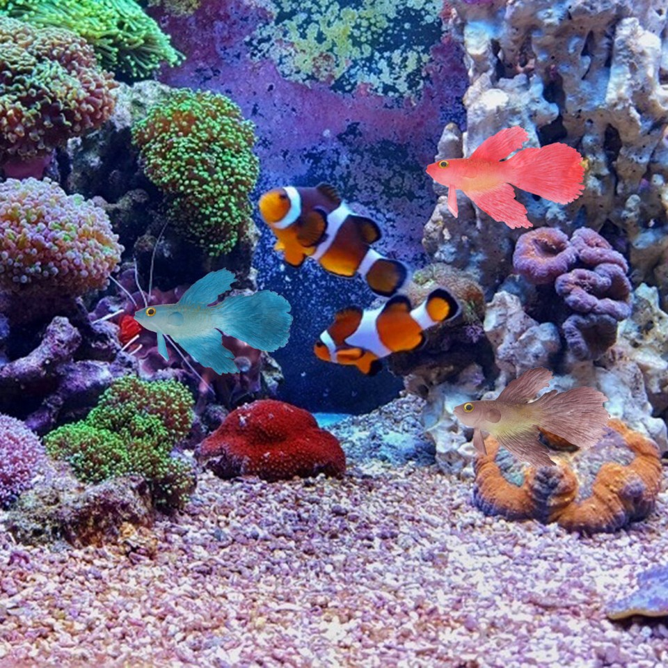 3 Pcs Realistic Aquarium Floating Fish Tank Water Game Ceramic Micro