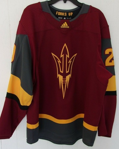 ARIZONA STATE Jakob Stridsberg game 