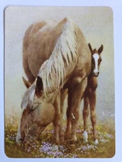 Arabian/Chestnut Horse Mother Shy Baby Foal Portrait American Playing SWAP CARD