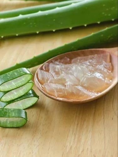 Natur Vera LA GELÉE 200g Amazon.com: Seven Minerals Aloe Vera Gel - 99% Organic, Big