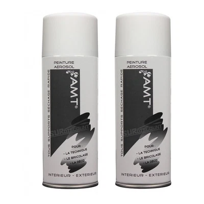 Lot de 2 bombes de peinture - blanc mat - AMT