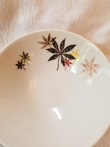Vintage Peter Terris Original Calico Leaves Shenango Bowl