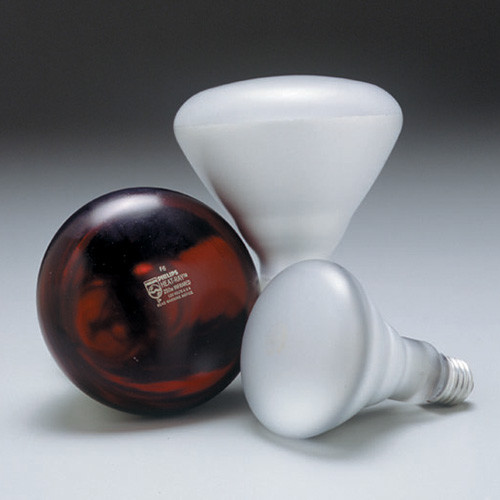 Food Heat Lamp Shatterproof Bulb Red eBay