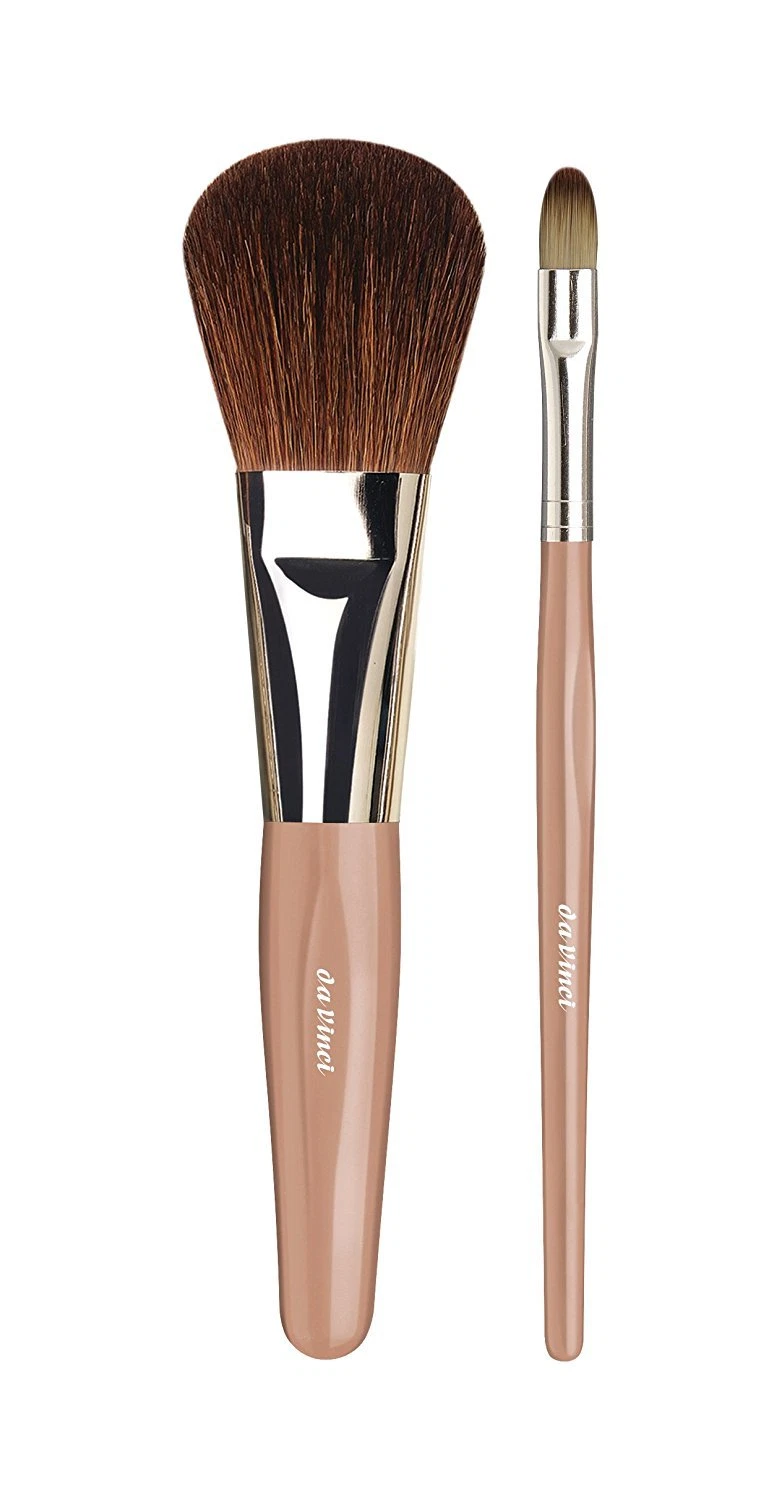 da Vinci Cosmetics Series 4852 Powder & Eyeshadow Travel Brush Set & Zipper Case