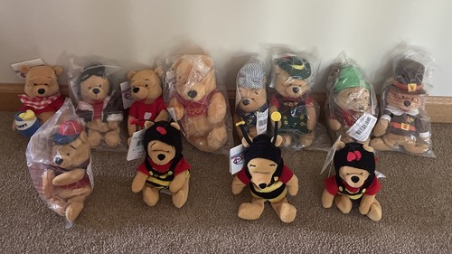 Disney Winnie The Pooh Beanie Plush Lot Complete Set Of 12 Beanies