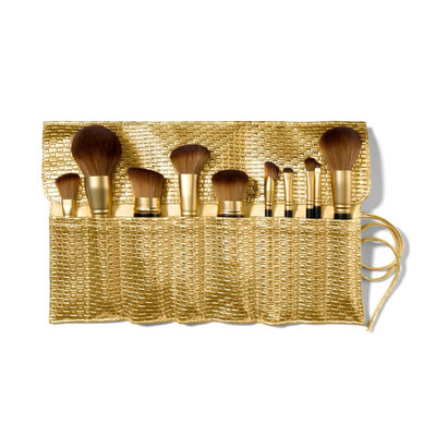 the Brush Vault - Ultimate Limited Edition Makeup Brush Collection - Includes Te
