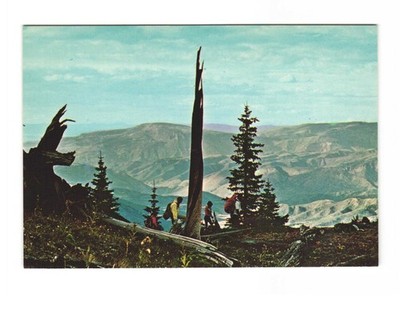 Snowmoss at Aspen Hikers enjoying trails vintage postcard unposted