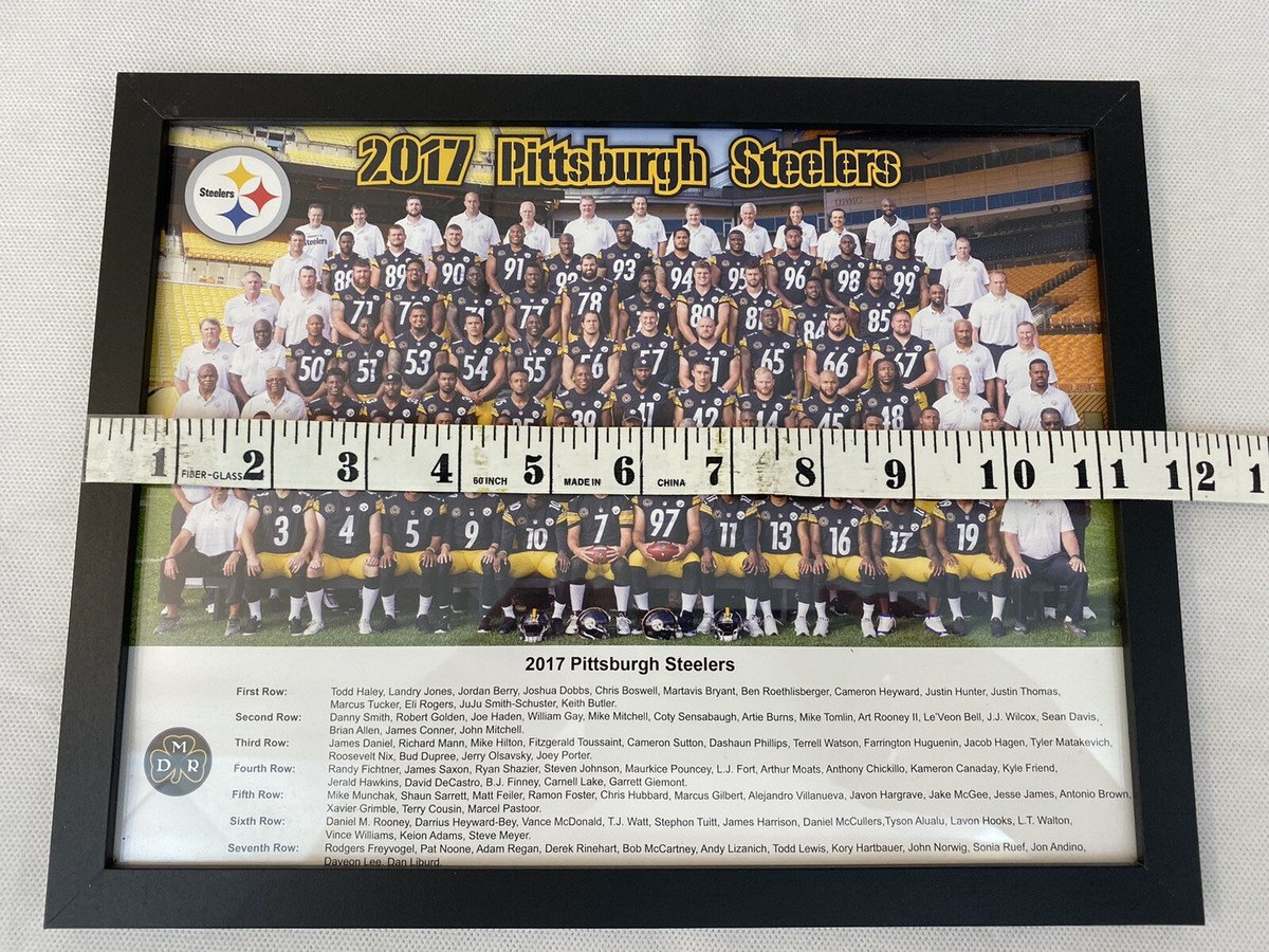 2017 Pittsburgh Steelers Team Photo 8x10 Framed DMR Killer Bs
