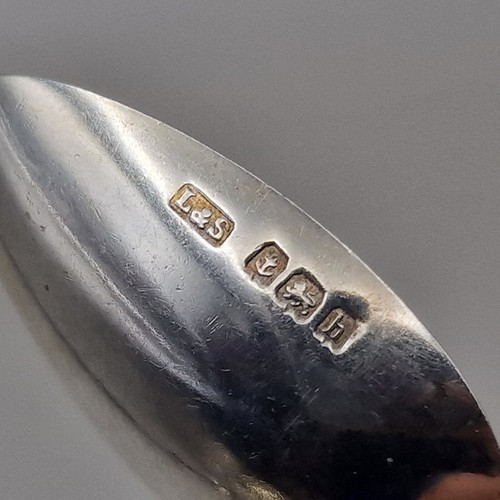 Sterling Silver Zodiac "Pisces" Souvenir Tea Spoon by Levi & Salaman 1907 - Picture 19 of 20